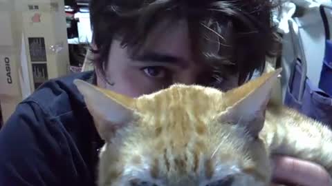 Snapshot of idkwhattowatch chatting on December 24, 2024, 12:33 am idkwhattowatch online show from December 24, 2024, 12:33 am