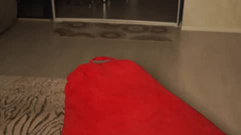 Little Flower online show from April 15, 2026, 7:58 pm