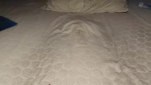 Snapshot of ilona4u chatting on March 23, 2026, 9:08 pm ilona4u online show from March 23, 2026, 9:08 pm