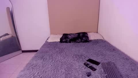 Perseo - Help me with 50 thumbs up online show from February 26, 2026, 7:46 pm