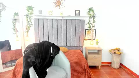 Snapshot of im_tulipan chatting on February 25, 2026, 7:56 pm im_tulipan online show from February 25, 2026, 7:56 pm