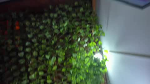im_xandersmith online show from May 26, 2026, 8:38 pm