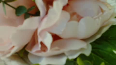 Carrie online show from March 1, 2025, 7:15 pm