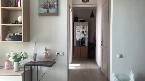 imnotall online show from November 24, 2025, 8:47 am