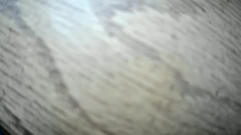 imyobes online show from January 15, 2026, 3:49 pm