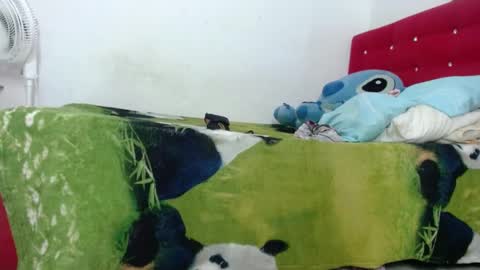 Indian online show from March 8, 2025, 1:47 pm