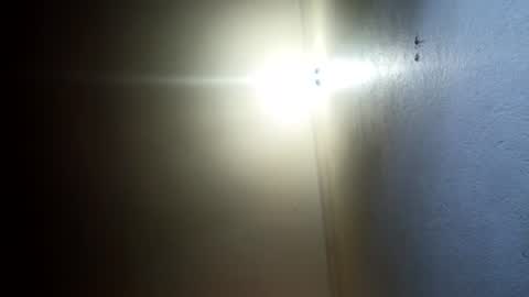 Snapshot of indian_succubus chatting on July 19, 2026, 8:01 pm Perky baby online show from July 19, 2026, 8:01 pm