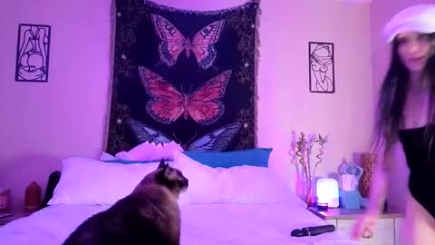 Snapshot of indigobay chatting on February 3, 2026, 5:05 am Indigo Bay online show from February 3, 2026, 5:05 am