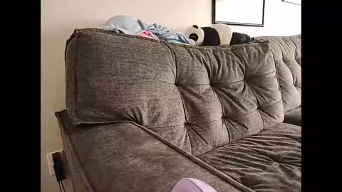 Indigo Star online show from February 14, 2025, 8:48 pm