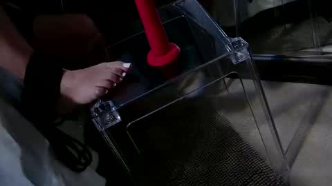 InsatiableCpl333 online show from January 20, 2025, 9:11 pm