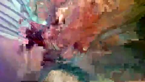 ipuck55 online show from December 14, 2024, 8:18 pm