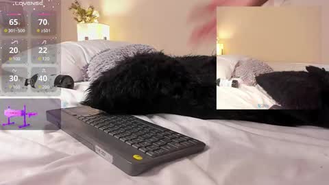 oIssaJonneso online show from February 19, 2025, 4:44 pm