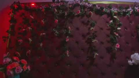 Snapshot of isabella_mora_ chatting on June 14, 2026, 3:52 am Isabella online show from June 14, 2026, 3:52 am