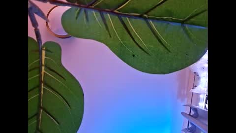 Isabella online show from October 23, 2025, 5:51 am