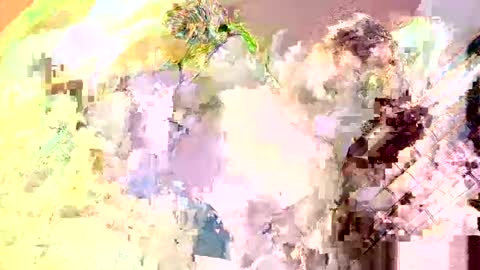 Snapshot of islandboy_ethan chatting on May 13, 2026, 4:04 pm Nathaniel online show from May 13, 2026, 4:04 pm