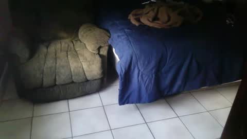 Snapshot of italjock24 chatting on September 11, 2025, 12:16 pm BearlyLoganFL online show from September 11, 2025, 12:16 pm