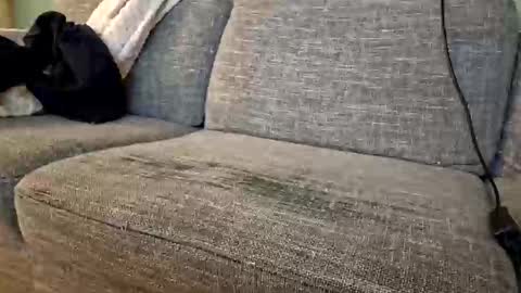 itsjeroen online show from November 2, 2025, 1:52 am