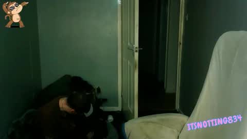    online show from September 13, 2025, 9:03 pm