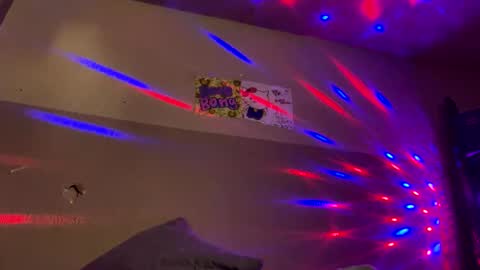BellaMiaHerChicoBestia online show from December 29, 2024, 9:50 am