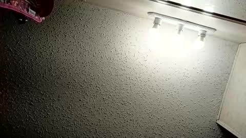 ittybittypritty online show from November 9, 2025, 11:19 am