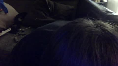 iwillsuckmyowndick online show from May 16, 2026, 7:01 pm
