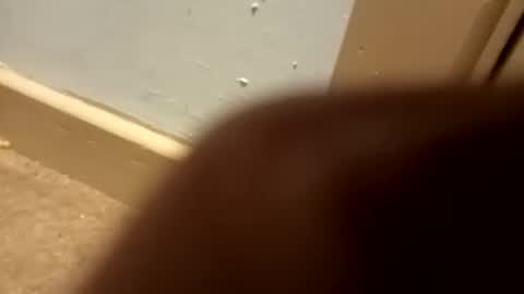 Snapshot of j434934 chatting on January 5, 2026, 7:28 pm j434934 online show from January 5, 2026, 7:28 pm