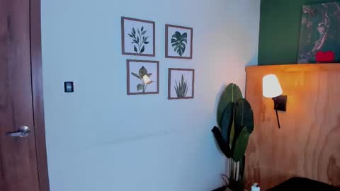 David online show from November 25, 2025, 3:17 am