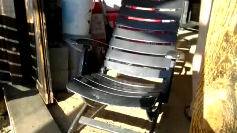 jackeduplittlejoey online show from April 18, 2026, 2:54 pm