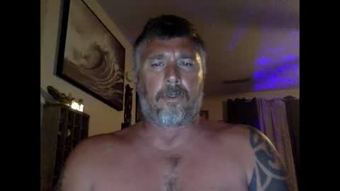 jackhammerhead online show from April 24, 2026, 12:46 am