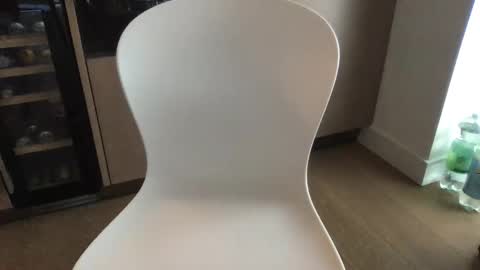 jacklas111 online show from April 24, 2026, 4:31 pm