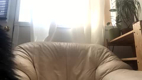 Jacob online show from February 24, 2026, 3:43 pm