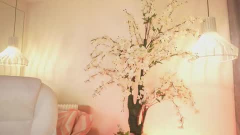 Jade Summer online show from November 4, 2025, 11:31 am