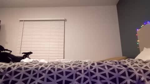 Snapshot of jaidenblake chatting on December 2, 2024, 9:45 am jaidenblake online show from December 2, 2024, 9:45 am