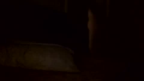 Jamacian online show from February 2, 2025, 5:59 pm