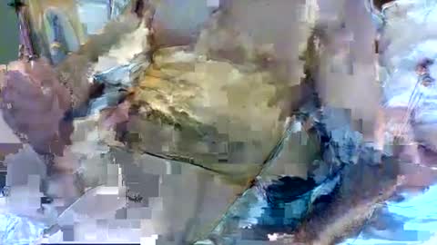 Snapshot of jameswhite5001 chatting on February 8, 2025, 3:21 pm jameswhite5001 online show from February 8, 2025, 3:21 pm