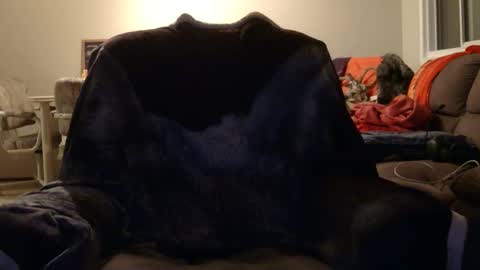 jameswolf777 online show from November 12, 2025, 8:48 am