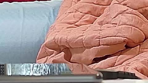 Bootyshows online show from September 15, 2025, 12:38 pm