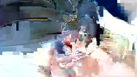 jani56 online show from April 15, 2026, 10:22 am