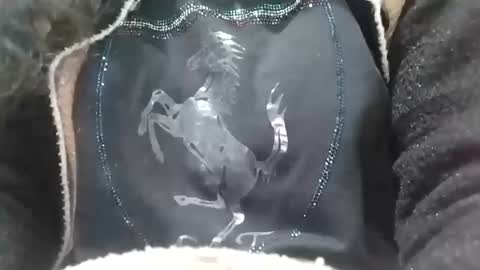 jasspreettt online show from February 2, 2025, 6:58 am