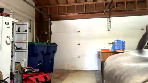 Snapshot of jawssharkparty chatting on September 12, 2025, 7:36 pm Jaws online show from September 12, 2025, 7:36 pm