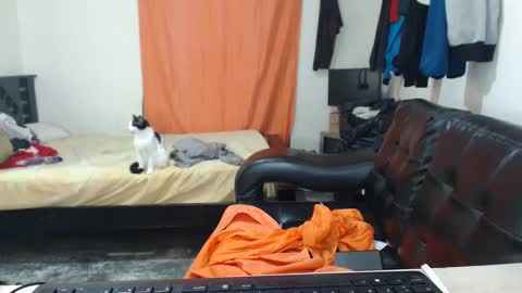 jaxivh16 online show from October 11, 2025, 3:17 am