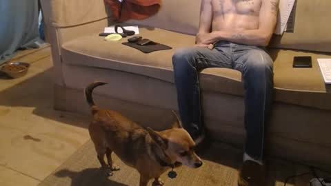 O F   jay short786 online show from February 22, 2025, 11:24 pm