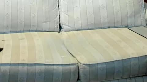 O F   jay short786 online show from January 12, 2026, 12:49 am