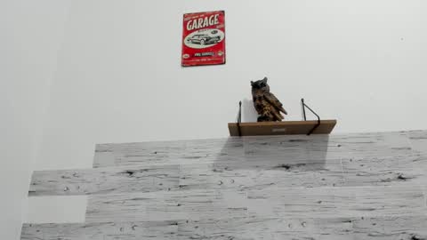 Jaycreedd online show from November 25, 2025, 2:11 am