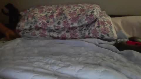 jazzilove online show from December 15, 2024, 3:56 am