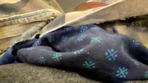 Snapshot of jbigblue chatting on September 28, 2025, 3:28 pm jbigblue online show from September 28, 2025, 3:28 pm