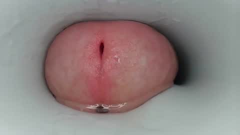 jeffrodgerschaturbat online show from March 17, 2026, 3:44 am