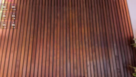     online show from February 26, 2025, 11:52 am