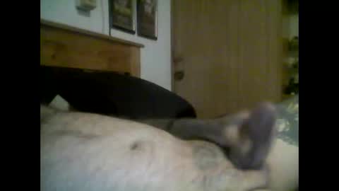 jerkmate6666 online show from September 16, 2025, 11:50 pm