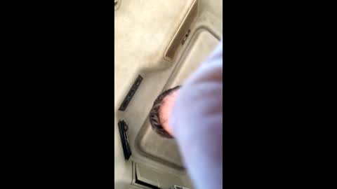 jesaj online show from November 26, 2025, 12:50 pm